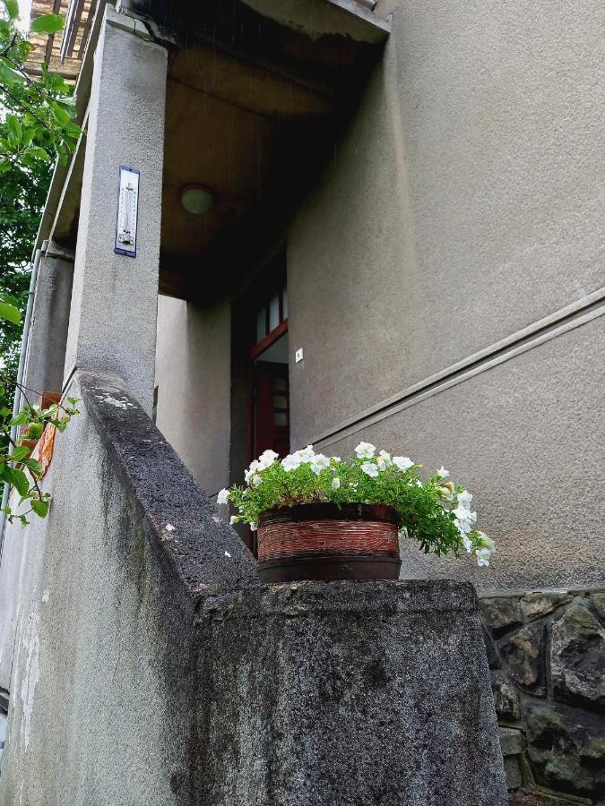 Vila Kotlarska Decin Exterior photo